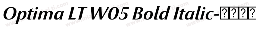 Optima LT W05 Bold Italic字体转换